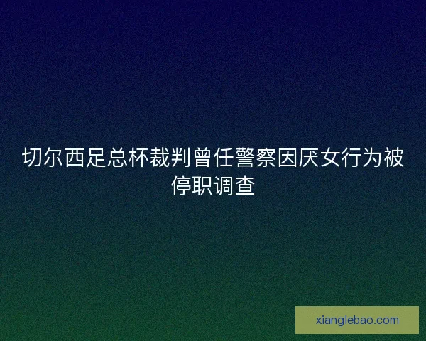 切尔西足总杯裁判曾任警察因厌女行为被停职调查