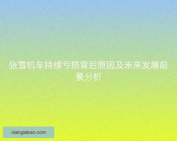张雪机车持续亏损背后原因及未来发展前景分析
